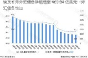 埃及 6 月外汇储备净额增至 463.84 亿美元：外汇储备增加