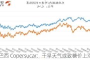 巴西 Copersucar：干旱天气或致糖价上涨