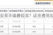 为什么股指交易手续费较高？这些费用如何影响投资者的决策？