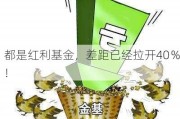 都是红利基金，差距已经拉开40％！