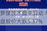 箩筐技术盘中异动 早盘股价大跌5.37%