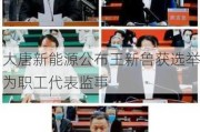 ***新能源公布王新鲁获选举为职工代表监事