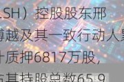 金花股份（600080.SH）控股股东邢博越及其一致行动人累计质押6817万股，占其持股总数65.98%