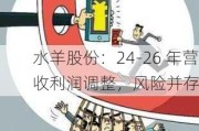 水羊股份：24-26 年营收利润调整，风险并存