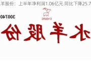 水羊股份：上半年净利润1.06亿元 同比下降25.74%