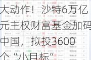 大动作！沙特6万亿元主权财富基金加码中国，拟投3600个“小目标”