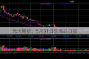 光大期货：5月31日软商品日报