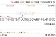 泰瑞达盘中异动 股价大涨5.00%报119.41美元