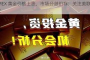 COMEX 黄金价格上涨，市场分歧仍存：关注美联储会议