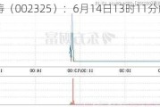 *ST洪涛（002325）：6月14日13时11分触及涨停板