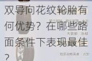 双导向花纹轮胎有何优势？在哪些路面条件下表现最佳？