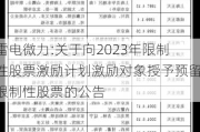 雷电微力:关于向2023年限制性股票激励计划激励对象授予预留限制性股票的公告