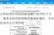 云南昭通昭阳农村商业银行被罚85万元：董事未经任职资格核准实际履职、未经批准终止分支机构