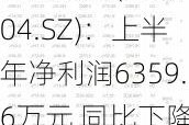 恒宝股份(002104.SZ)：上半年净利润6359.6万元 同比下降35.36%