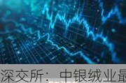 深交所：中银绒业最近7个交易日累计跌超52% 期间自然人买入占比近98%