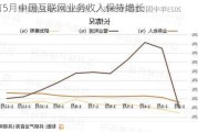 前5月中国互联网业务收入保持增长