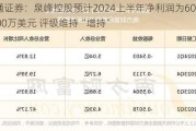 财通证券：泉峰控股预计2024上半年净利润为6000-6500万美元 评级维持“增持”