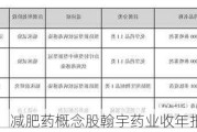 减肥药概念股翰宇药业收年报问询函