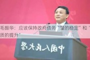 毛振华：应该保持***债务“量的稳定”和“质的提升”