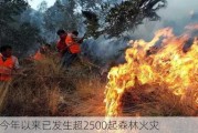 秘鲁今年以来已发生超2500起森林火灾