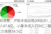 A股再现调整，沪指未能站稳3000点！主力资金共流出147.8亿，小单净流入119亿，酿酒行业获主力增持14.5亿