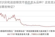 如何识别和追踪期货市场的龙头品种？这些龙头品种有哪些特征？