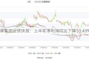 塔牌集团业绩快报：上半年净利润同比下降53.43%