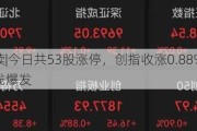 盘中必读|今日共53股涨停，创指收涨0.88%，光伏板块全线爆发