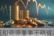 盛和资源董事王晓晖减持165.35万股，减持金额1354.22万元