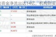 北向资金净流出达14亿，机构则买入这家公司