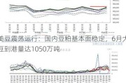 美豆震荡运行：国内豆粕基本面稳定，6月大豆到港量达1050万吨