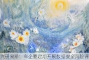 中国汽研宋希：车企要定期开展数据安全风险评估