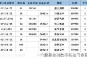 个股基金指数排名如何查看？