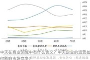 中天在商业领域中有什么含义？中天企业的运营如何影响市场竞争？