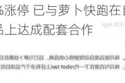 豪恩汽电20%涨停 已与萝卜快跑在自动泊车、超声波雷达等产品上达成配套合作