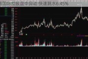 华音国际控股盘中异动 快速跳水6.45%