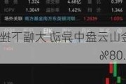 金山云盘中异动 大幅下挫5.08%