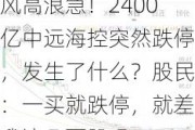 风高浪急！2400亿中远海控突然跌停，发生了什么？股民：一买就跌停，就差我这几百股吗...