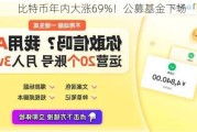 比特币年内大涨69%！公募基金下场「炒币」