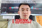 Tilly'S盘中异动 大幅跳水5.10%