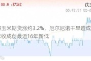 芝加哥玉米期货涨约3.2%，厄尔尼诺干旱造成赞比亚玉米收成创最近16年新低