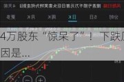 4万股东“惊呆了”！下跌原因是...