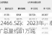 天齐锂业(002466.SZ)：2023年，泰利森销售给雅保的锂精矿总量约81万吨