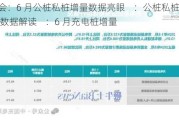 乘联会：6 月公桩私桩增量数据亮眼    ：公桩私桩增长  关键数据解读    ：6 月充电桩增量