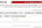 沪铜CU2407周涨幅3.77%：美通胀低于预期提振市场，铜锡产业面临供需博弈