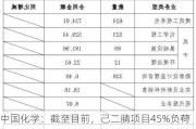 中国化学：截至目前，己二腈项目45%负荷运行、气凝胶项目83%负荷运行