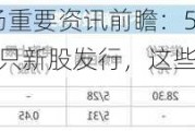 下周影响市场重要资讯前瞻：5月PMI数据将公布，将有2只新股发行，这些投资机会靠谱