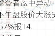 攀登者盘中异动 下午盘股价大涨5.57%报14.00美元