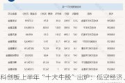 科创板上半年“十大牛股”出炉：低空经济、减肥药概念位列前二 PCB、算力芯片上榜