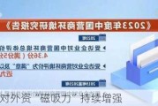 中国市场对外资“磁吸力”持续增强